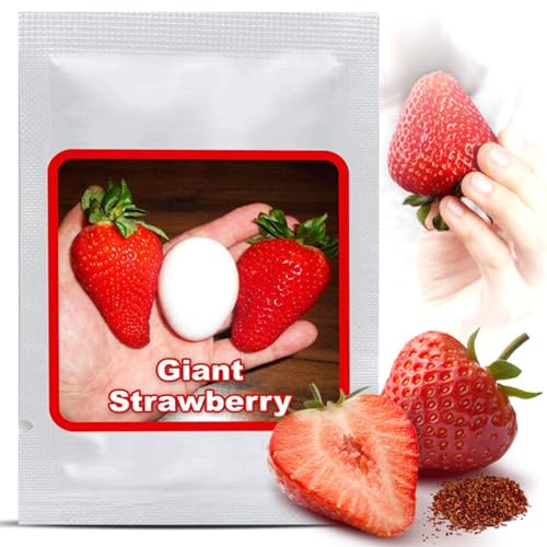 Magic of Nature Riesenerdbeeren Samen ca. 100 Stk. – Die größte Erdbeere der Welt "Giant" – Süße Riesenfrüchte – Winterhart & Mehrjährig