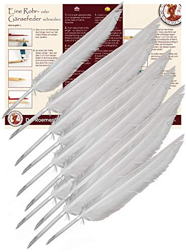 Forum Traiani Feder zum Schreiben 10 Stk. Kalligraphie Schreibfeder, Federkiel zum Zuschneiden Kalligrafie Stift Gänsekiel, Federkiele Set, Schreibrohr Gänsefedern