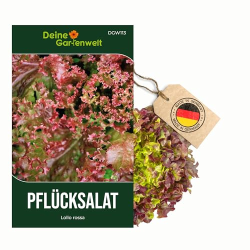 Pflücksalat Lollo rossa Samen - Lactuca sativa - Pflücksalatsamen - Gemüsesamen - Saatgut für 100 Pflanzen