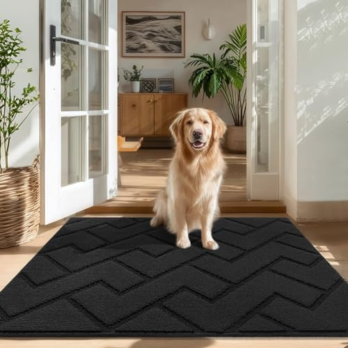 Biscpro Fußmatte Innen Außen 80x100cm Waschbar Eingangsteppich Innen Schmutzfangmatte rutschfest,Türmatte Innen Teppich Für Eingang, Patio, Flur, Garten, Innen und Außen -Dunkelgrau
