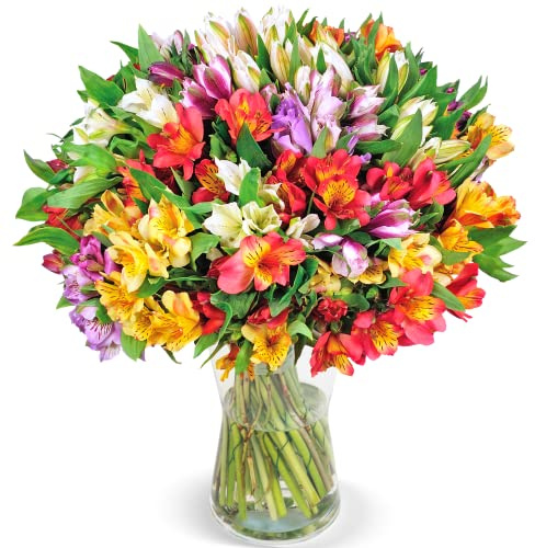 Blumenstrauß mit 33 Bunten Inkalilien (Alstroemeria) als Ideales Blumengeschenk, 200 Farbenfrohe Blüten, Qualität vom Floristen, 7-Tage-Frischegarantie, schneller Blumenversand