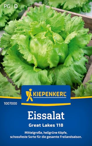 Kiepenkerl Eissalatsamen Great Lakes 118 1007000 – Schossfeste Sorte - Mittelgroße, hellgrüne Köpfe - Inhalt für 300 Pflanzen - Salatpflanzen, Saatgut