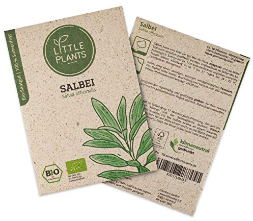 Little Plants BIO Salbei Samen, 50 Salbeisamen, hohe Keimrate, 100% Natürlich, BIO Samen Salbei Saatgut für Kräutergarten Küchenkräuter Hochbeet – BIO Kräutersamen Nachhaltig