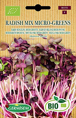 Germisem Microgreens Mischung RADISH MIX MICRO-GREENS ECBIO1172