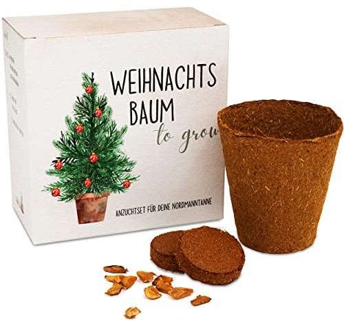 Tannenbaum Geschenk Set - Tannenbaum in der Dose Anzuchtset mit Kokostablette und Zellulose Topf - 8-10 Samen für 5 Tannenbäume Weihnachtsbaum Anzuchtset als Adventskalender Füllung