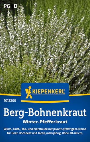 Kiepenkerl Berg-Bohnenkrautsamen Winter-Pfefferkraut 1012200, Kräutersaat | Inhalt für 80 Pflanzen, Samen Kräuter, aromatisch, mehrjährig