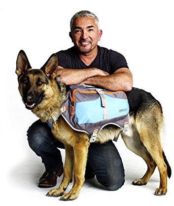 Cesar Millan Backpack™ - Dog Whisperer Hunderucksack - Gut gepolsterter Rucksack für Hunde - Strapazierfähiger Wanderrucksack für Hunde
