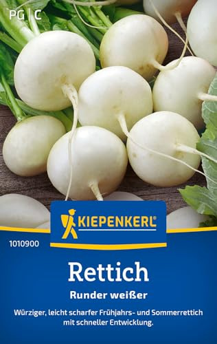 Kiepenkerl Rettichsamen Runder weißer 1010900 - Würzig - leicht scharf - Gewächshaus & Freiland - schnelle Entwicklung - Saatgut, Samen Gemüse, Gemüsepflanzen
