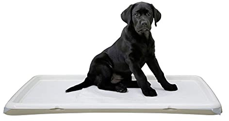 Kerbl Pet Welpentoilette XL, 90x60x4cm, Creme, für Welpen, ältere oder Kranke Hunde, Unterlage separat erhältlich, Kunststoff, Made in Italy