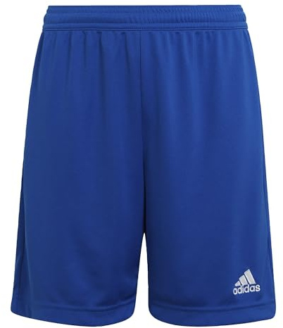 Adidas Unisex Kinder Entrada 22 Shorts, Royal Blue, 13-14 Years