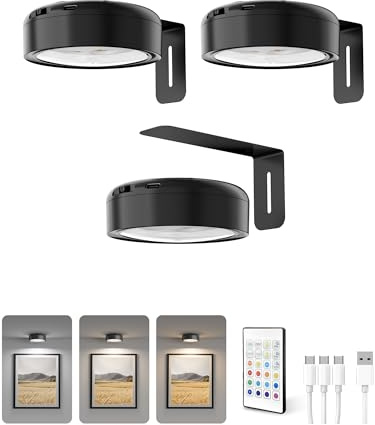 Homelist Bilderleuchte Kabellos, 2200mAh Akku, Schwarz, 3 Stück | Bilderlampe mit 12 RGB-Farben, 3 Farbtemperaturen, Dimmbar, Fernbedienung, Bildbeleuchtung Kabellos für Galeriewand, Vitrinen