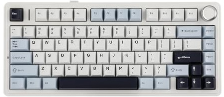 EPOMAKER x Aula F75 Gasket Mechanische Tastatur, 75% Hot swap-fähige Gaming-Tastatur mit Fünf-Schicht-Polsterung&Knopf, BT/Wireless/USB-C, RGB (Light Blue, LEOBOG Reaper Switch)