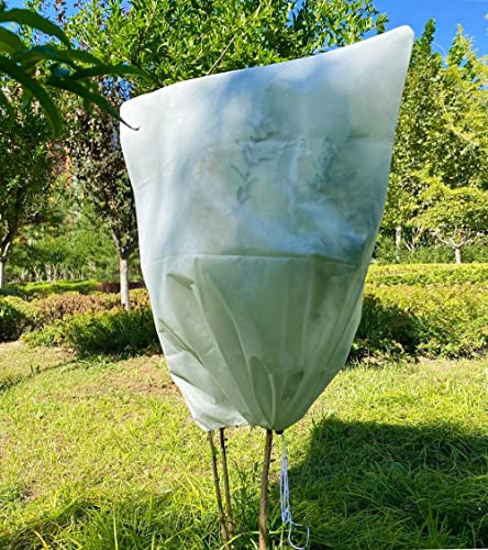 Pflanzen Winterschutz Frostschutz for Kübelpflanzen: 70g/m² B120 x H180 cm überwinterungszelt Pflanzenschutz mit Reißverschluss für Olivenbaum Palmen Reißfest Atmungsaktiv Waschbar UV Stabil Beige