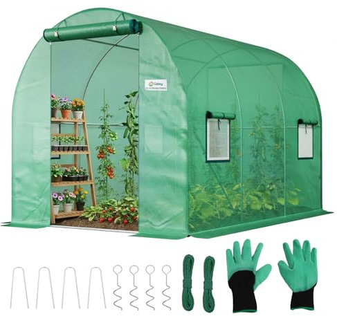 Sekey Gewächshaus Winterfest Foliengewächshaus verzinkt 3x2x2m - 6m² Folientunnel Stabil mit 2m Stehhöhe, Treibhaus, Tomatenhaus inkl. 2 Türen & 4 Fenster & Profi-Fixierungs-Set, 140g/m² PE-Folie