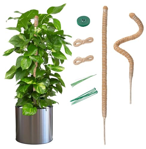 Mcbazel 2x70CM Monstera Rankhilfe Kokosfaser Rankhilfe mit Zubehör, Pflanzenstütze für Monstera Stab Kletterpflanzen im Innenbereich,Pothos und Zimmerpflanzen im Topfpflanzen