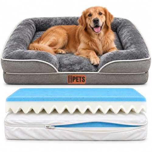 CORTES PETS Orthopädisches Hundebett für Kleine Hunde 61x48 cm -Hundekörbchen - Hundekissen - Waschbar - mit erhöhte Ränder - Hundesofa kleine Hunde – Memory Foam - Wasserfeste Hundebetten
