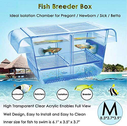 capetsma Fisch-Züchterbox, zum Aufhängen, für Kinderzimmer, mit Brutschbrüpfen und Aklimationsbox, perfekte Trennwand für aggressiv verletzte, Schwangere Fische, kleine Fische, Garnelen, Clownfische