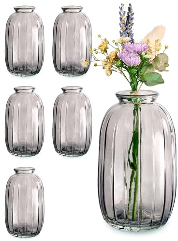 Praknu 6er Set Mini Glasvasen Grau 11,8 cm – Vintage – Blumenvasen Deko | Traumhafte Deko für Hochzeit & Tischdeko, spülmaschinenfest, edle Optik, kleine Vasen für Blumen, auch einzeln als Deko schön