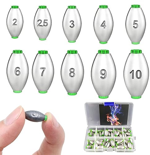50 Stück Angeln Bleie Set - Angeln Blei, Angelgewichte Kit mit Abnehmbaren Gewichten (10 Größen: 2g, 2.5g, 3g, ..., 10g) in Aufbewahrungskiste