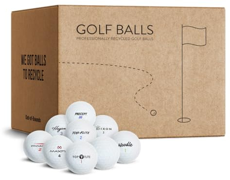 Out of Bounds | Lakeballs Mix | 100 STK. | Golfbälle | AAA/AA | Super Qualität