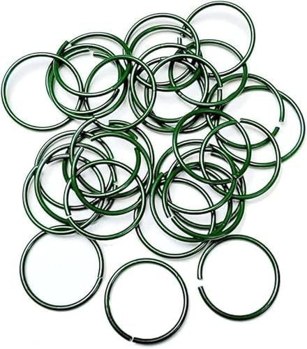 Garden Mile Blumenstütze, Gartenpflanze, Gemüse, Pflanzenstütze, Pflanzwerkzeug, Pfahlring, Unterstützung von Wachstumswerkzeugen (100 Pflanzenringe, grün)