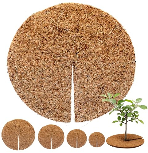 greentex Kokos Mulchscheiben 80 cm Ø – 5 Stück | 100% natürliche Kokosfaser | Winterschutz & Frostschutz für Topfpflanzen & Kübel | Unkrautschutz Abdeckscheiben Pflanzenschutz