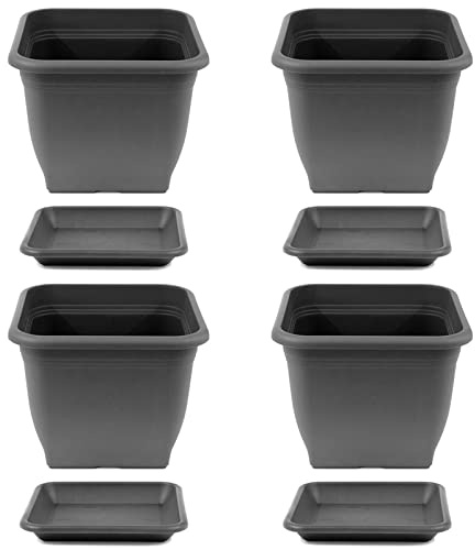 HAC24 Pflanztopf 33 x 33 cm Kunststoff incl. Untersetzer Eckig Anthrazit Pflanzkübel Pflanzuntersetzer Blumentopf Blumenkübel Pflanzcontainer (4)