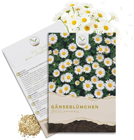 Gänseblümchen Samen (Bellis perennis) - Zarte Blumen mit langer Blütezeit für eine bunte Blumenwiese, das Beet, den Balkon und die Terrasse