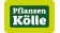 Pflanzen-Kölle